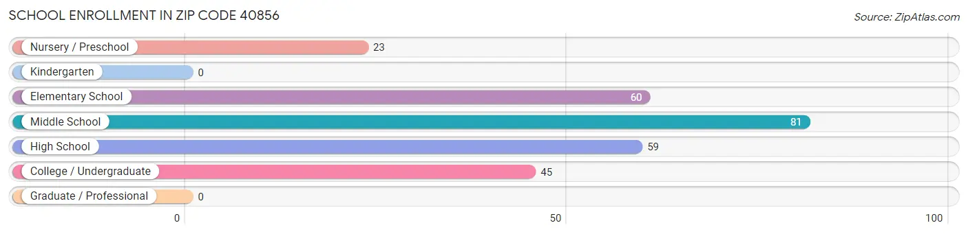 School Enrollment in Zip Code 40856