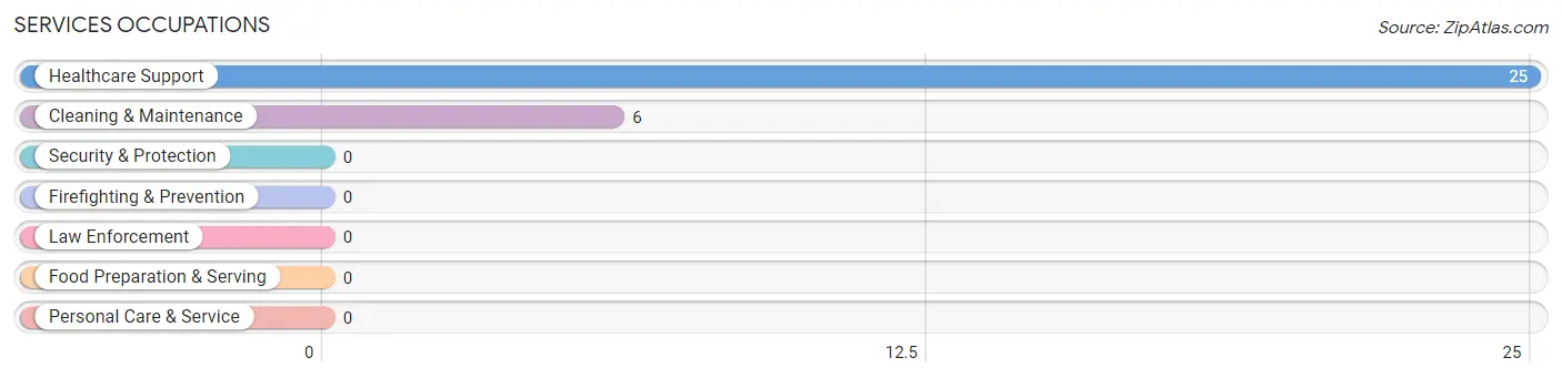 Services Occupations in Zip Code 40856