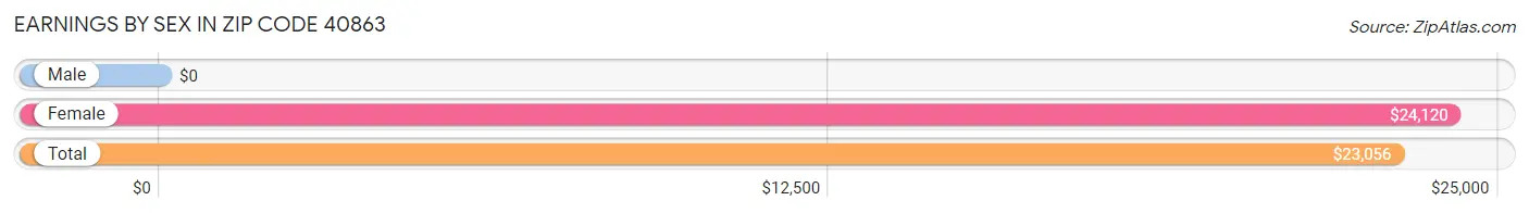 Earnings by Sex in Zip Code 40863