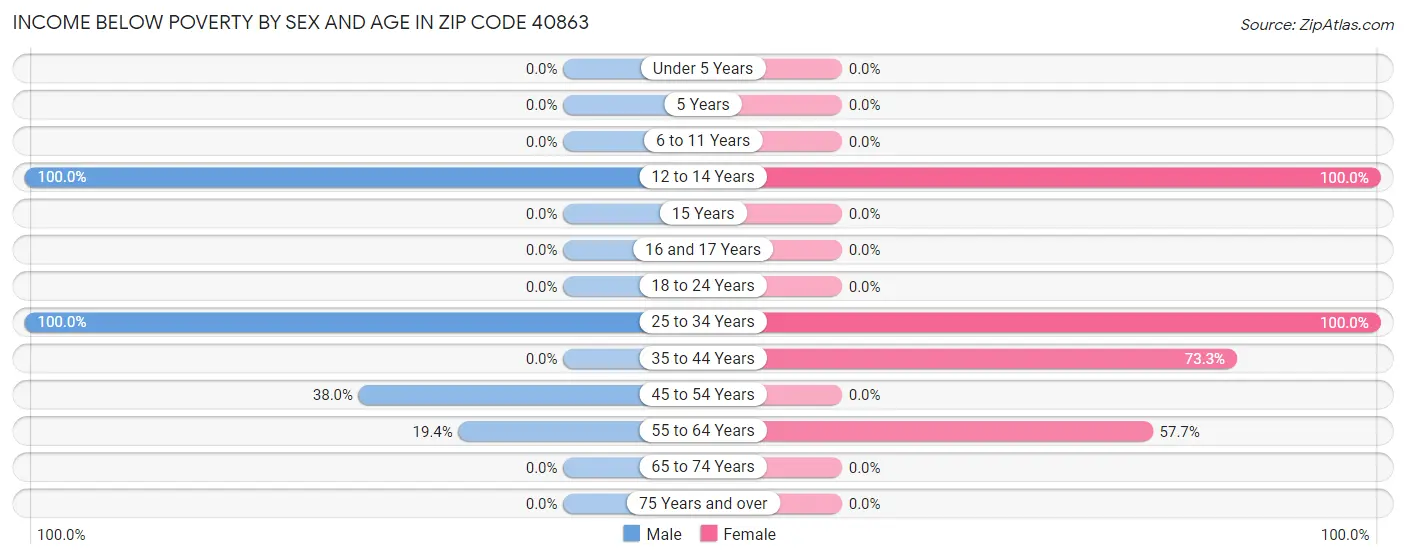 Income Below Poverty by Sex and Age in Zip Code 40863