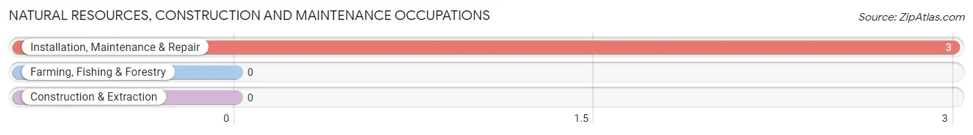 Natural Resources, Construction and Maintenance Occupations in Zip Code 40863