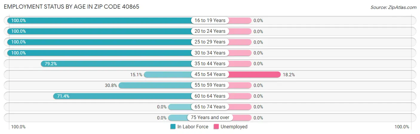 Employment Status by Age in Zip Code 40865