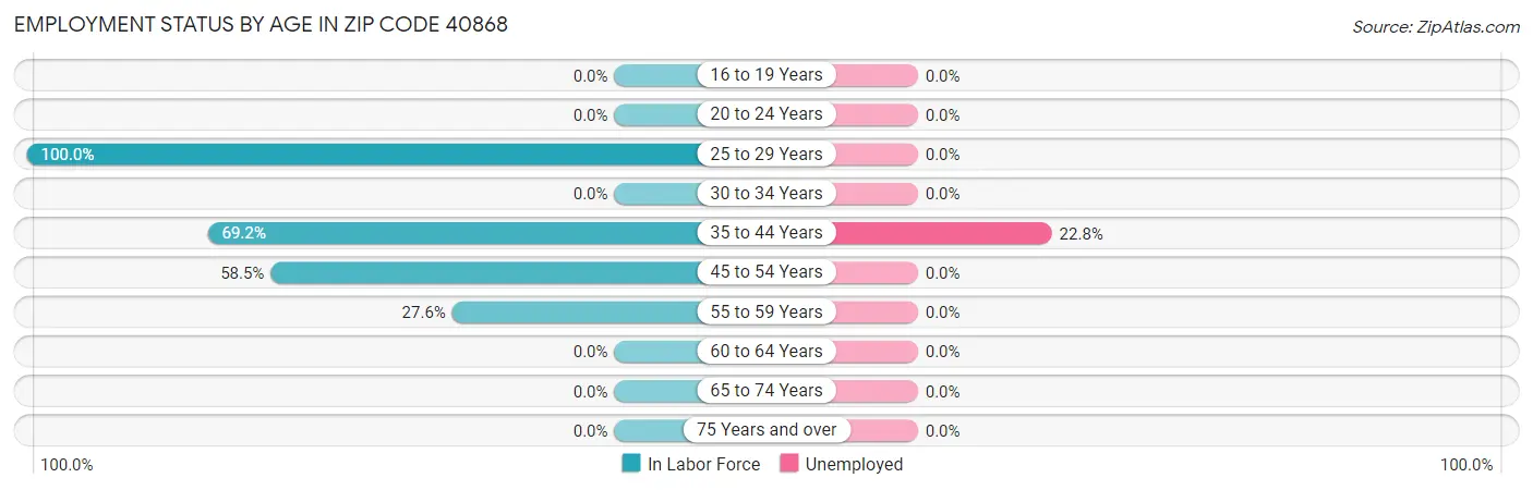 Employment Status by Age in Zip Code 40868