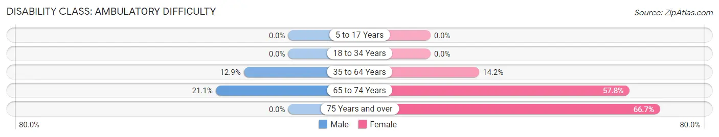 Disability in Zip Code 40870: <span>Ambulatory Difficulty</span>