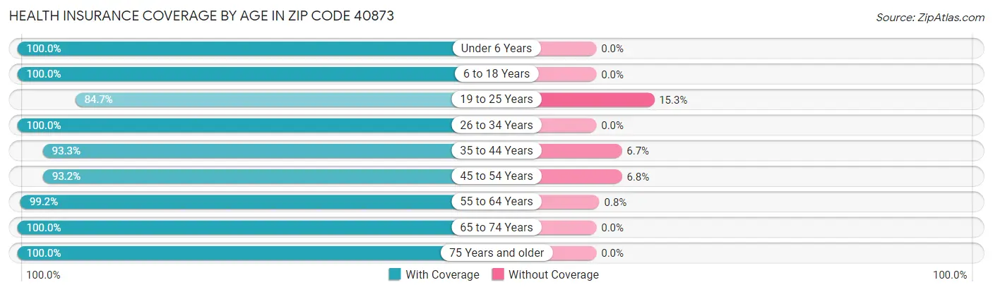 Health Insurance Coverage by Age in Zip Code 40873