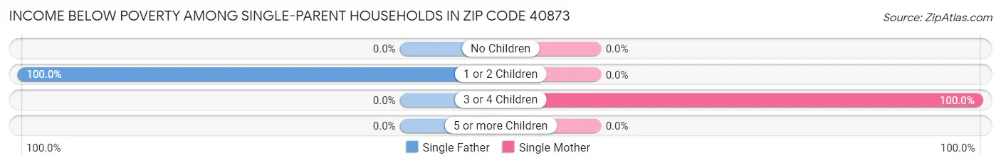 Income Below Poverty Among Single-Parent Households in Zip Code 40873