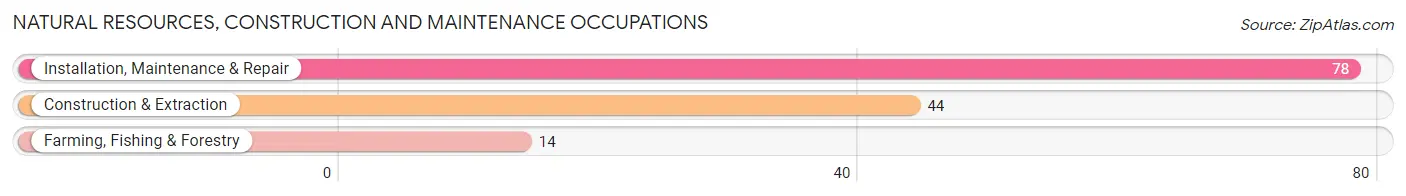 Natural Resources, Construction and Maintenance Occupations in Zip Code 40873