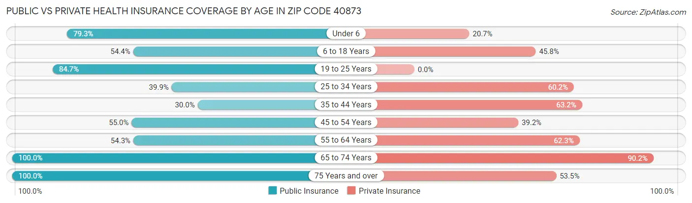 Public vs Private Health Insurance Coverage by Age in Zip Code 40873