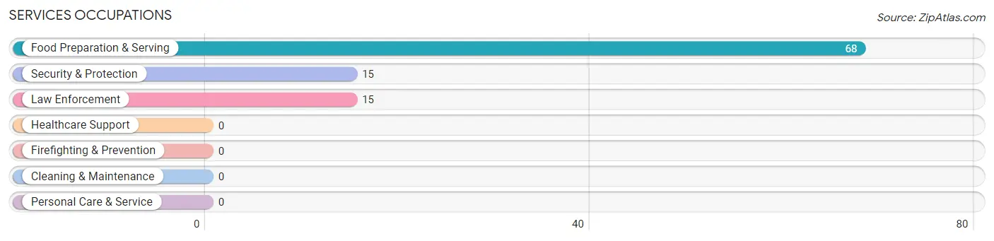 Services Occupations in Zip Code 40873