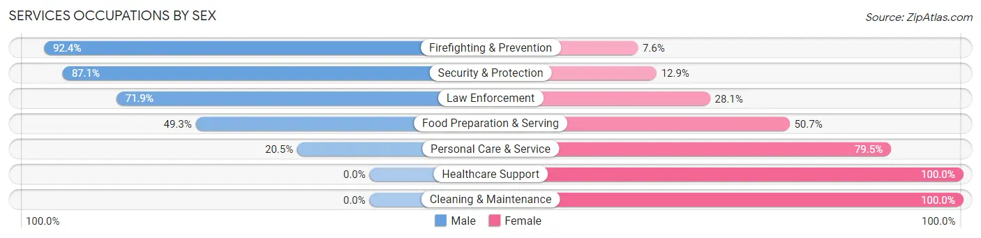 Services Occupations by Sex in Zip Code 40906