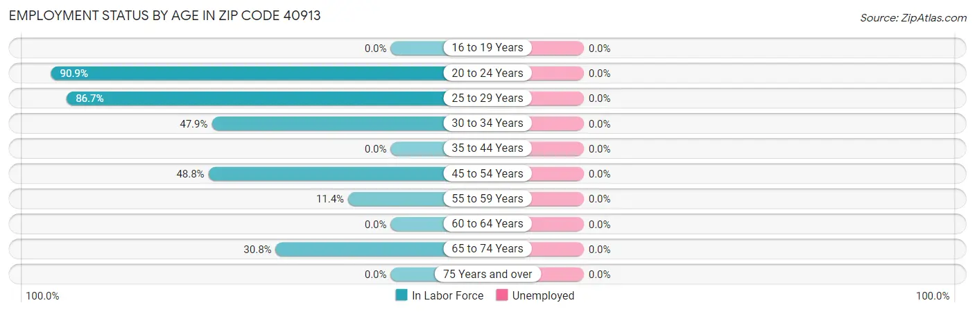 Employment Status by Age in Zip Code 40913