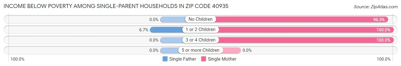 Income Below Poverty Among Single-Parent Households in Zip Code 40935