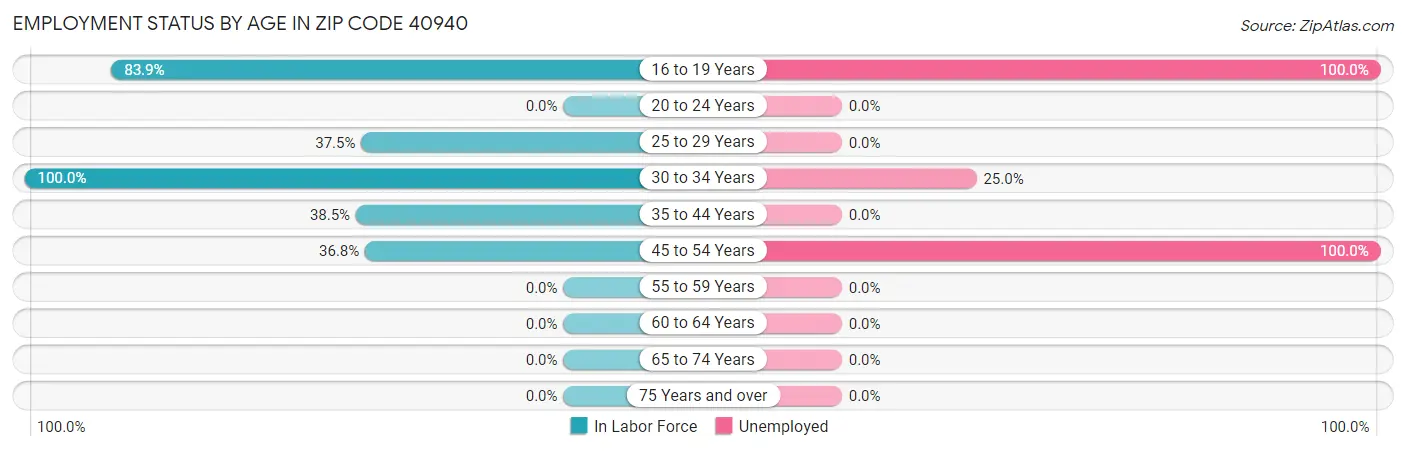 Employment Status by Age in Zip Code 40940