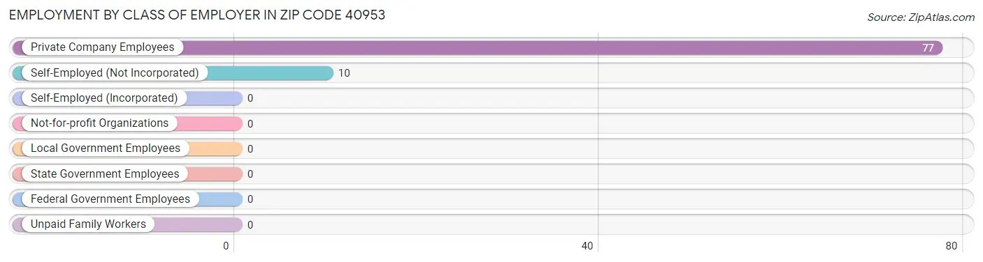Employment by Class of Employer in Zip Code 40953