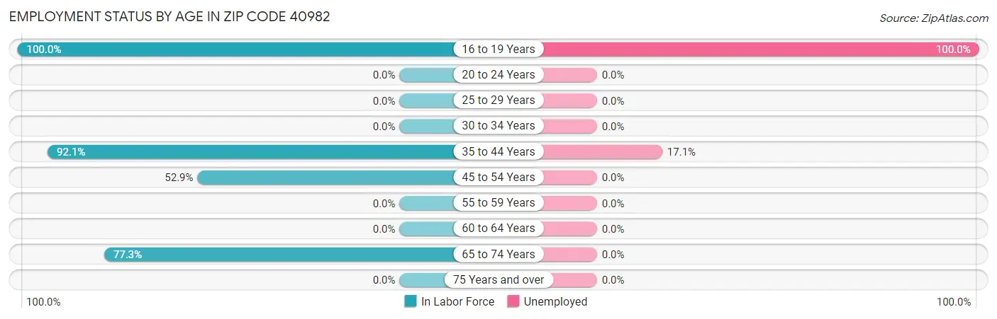 Employment Status by Age in Zip Code 40982