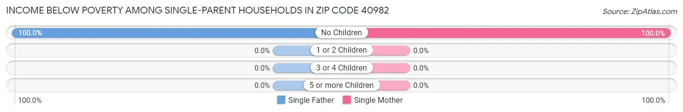 Income Below Poverty Among Single-Parent Households in Zip Code 40982