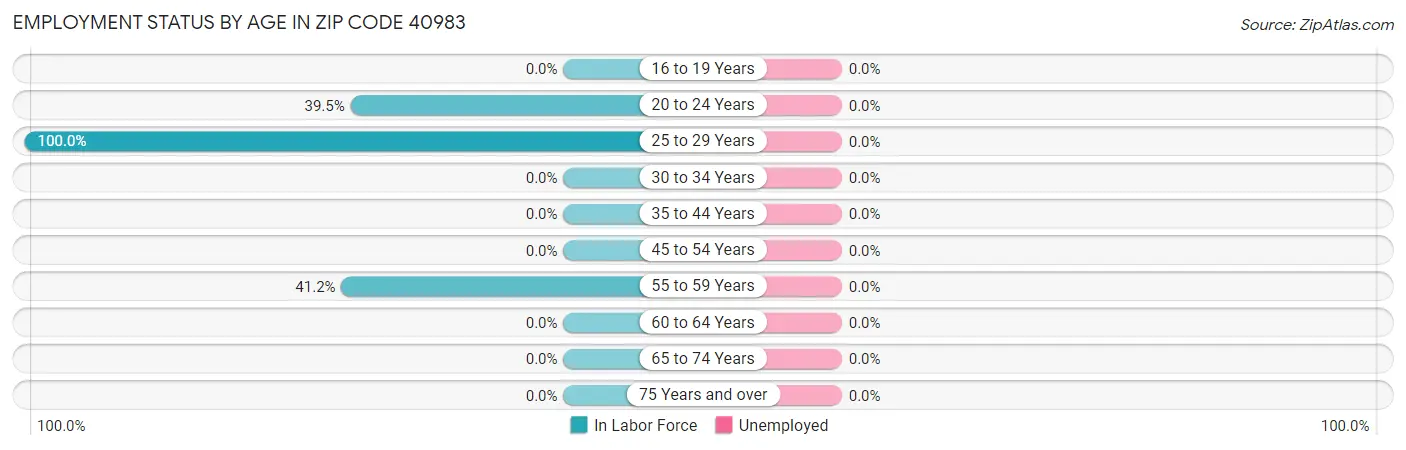 Employment Status by Age in Zip Code 40983