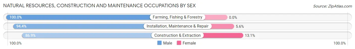 Natural Resources, Construction and Maintenance Occupations by Sex in Zip Code 41001