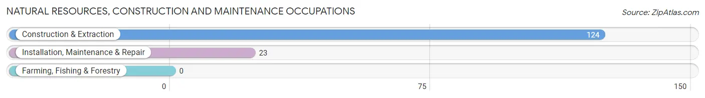 Natural Resources, Construction and Maintenance Occupations in Zip Code 41004