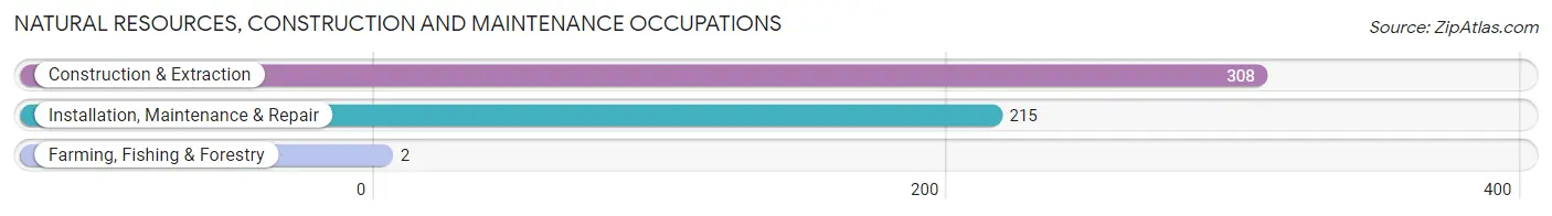 Natural Resources, Construction and Maintenance Occupations in Zip Code 41007