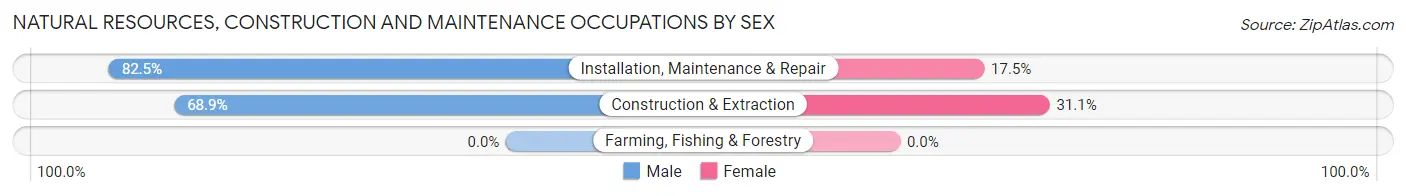 Natural Resources, Construction and Maintenance Occupations by Sex in Zip Code 41016