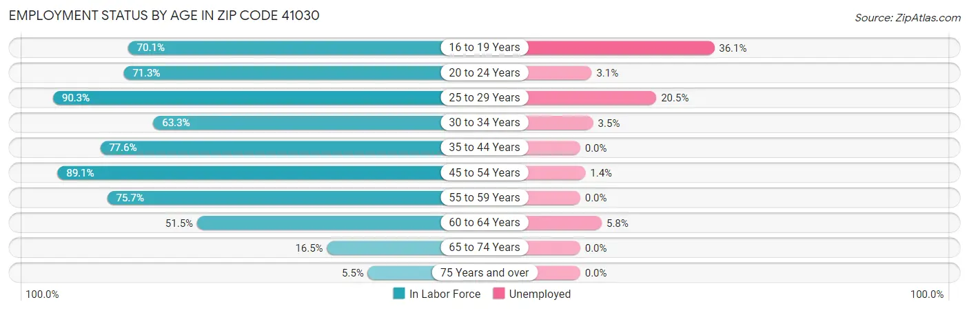 Employment Status by Age in Zip Code 41030