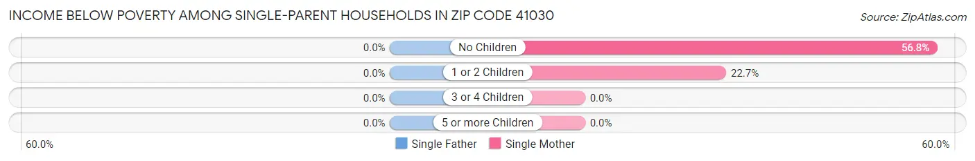 Income Below Poverty Among Single-Parent Households in Zip Code 41030