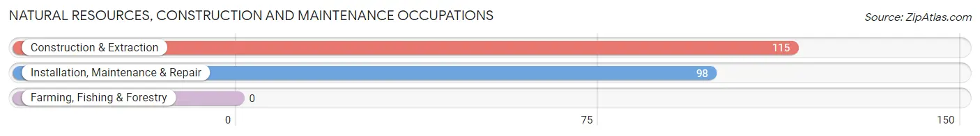 Natural Resources, Construction and Maintenance Occupations in Zip Code 41030