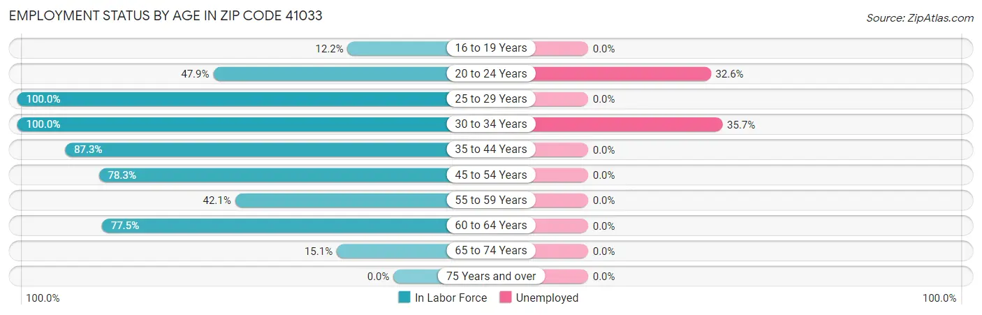 Employment Status by Age in Zip Code 41033
