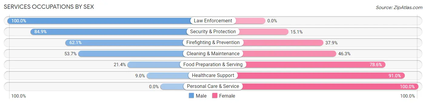 Services Occupations by Sex in Zip Code 41041