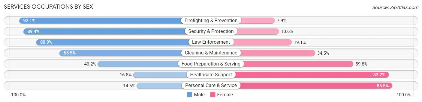 Services Occupations by Sex in Zip Code 41051