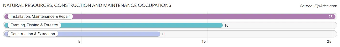 Natural Resources, Construction and Maintenance Occupations in Zip Code 41055