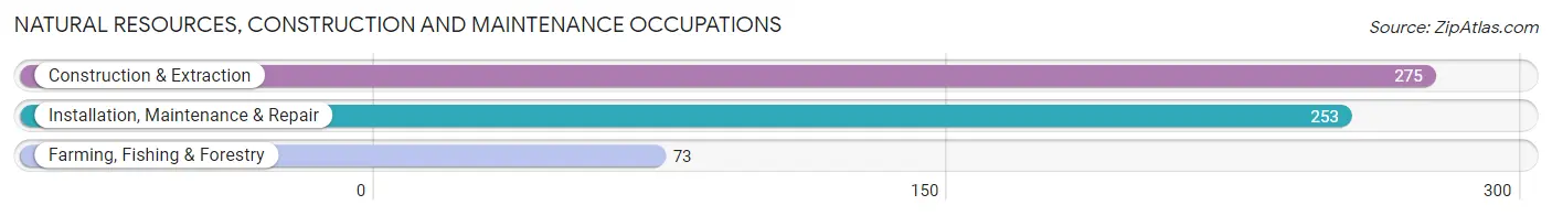 Natural Resources, Construction and Maintenance Occupations in Zip Code 41056