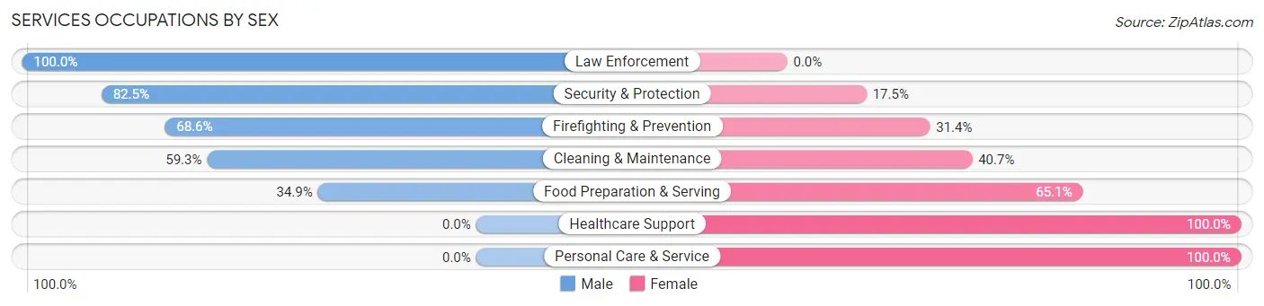 Services Occupations by Sex in Zip Code 41056