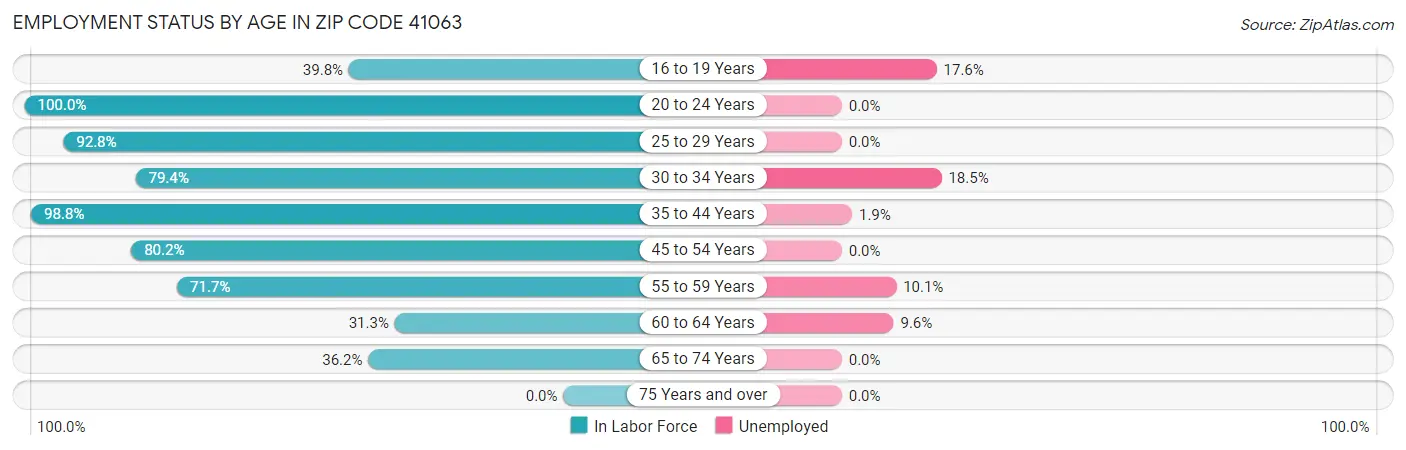 Employment Status by Age in Zip Code 41063