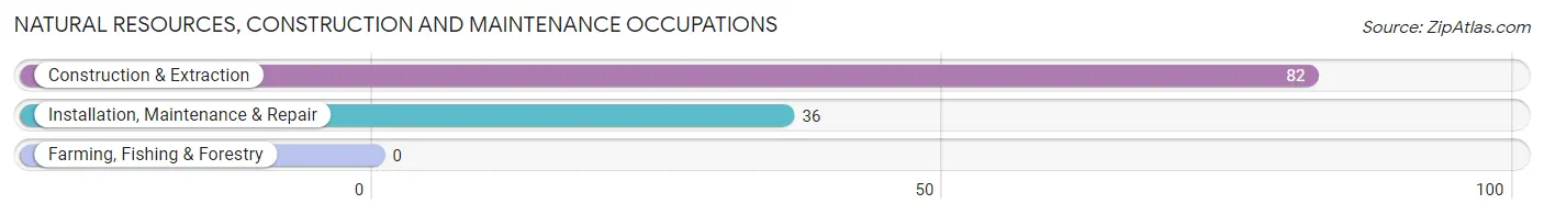 Natural Resources, Construction and Maintenance Occupations in Zip Code 41064