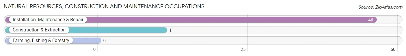 Natural Resources, Construction and Maintenance Occupations in Zip Code 41085