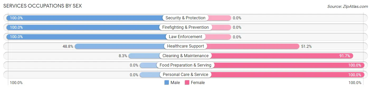 Services Occupations by Sex in Zip Code 41093
