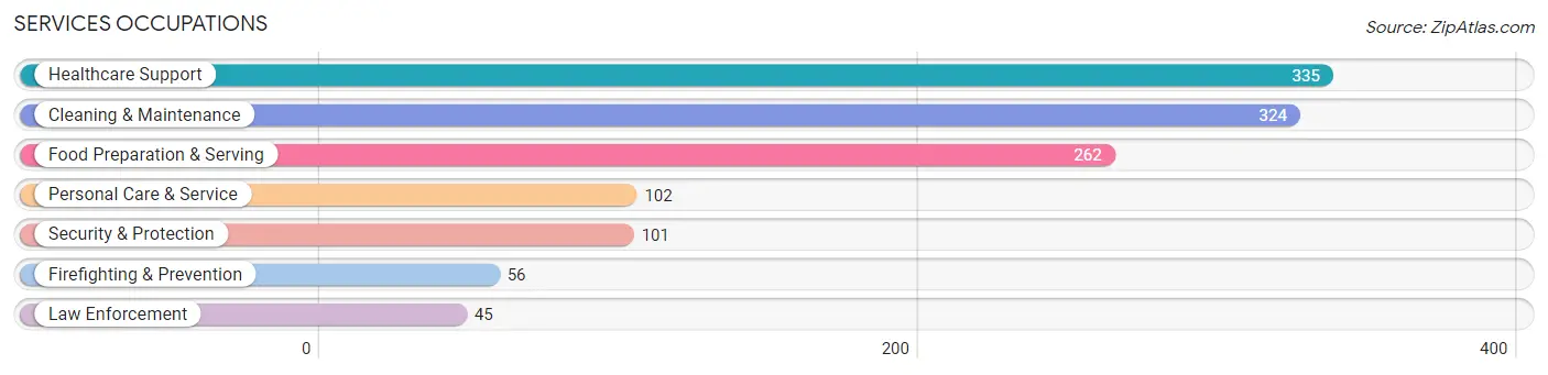 Services Occupations in Zip Code 41102