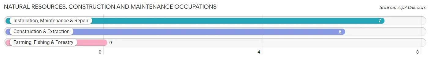 Natural Resources, Construction and Maintenance Occupations in Zip Code 41159