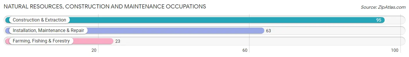 Natural Resources, Construction and Maintenance Occupations in Zip Code 41171