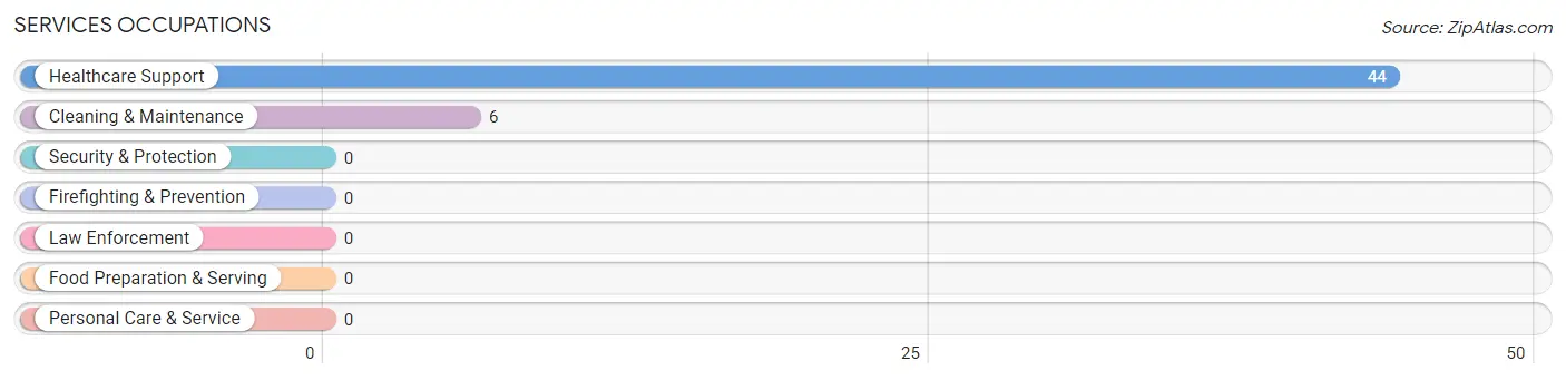 Services Occupations in Zip Code 41189
