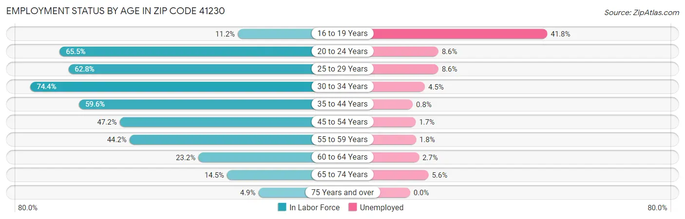 Employment Status by Age in Zip Code 41230