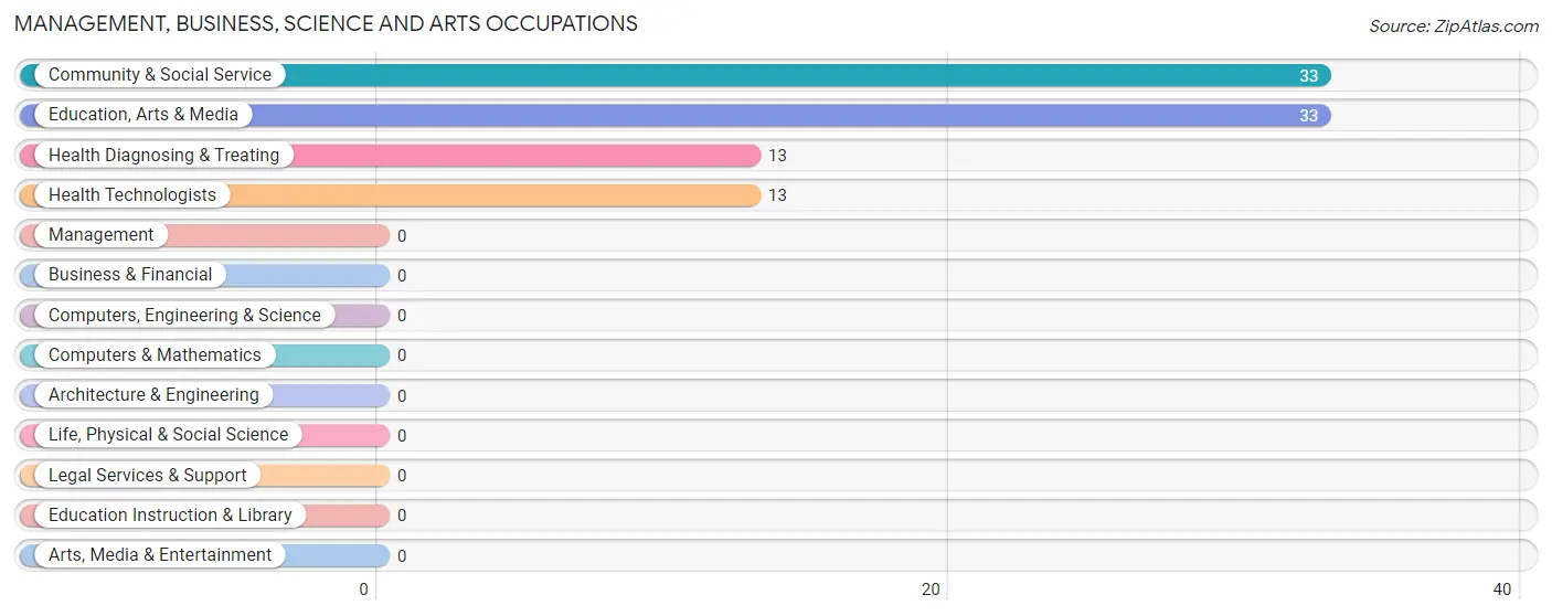 Management, Business, Science and Arts Occupations in Zip Code 41232