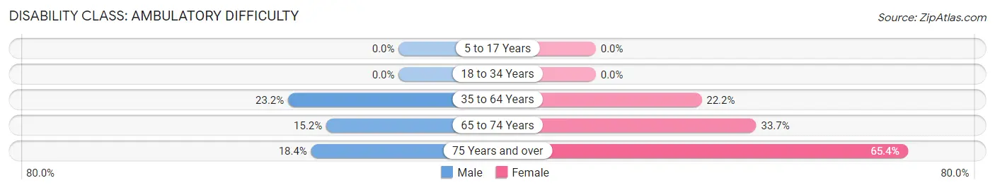 Disability in Zip Code 41240: <span>Ambulatory Difficulty</span>