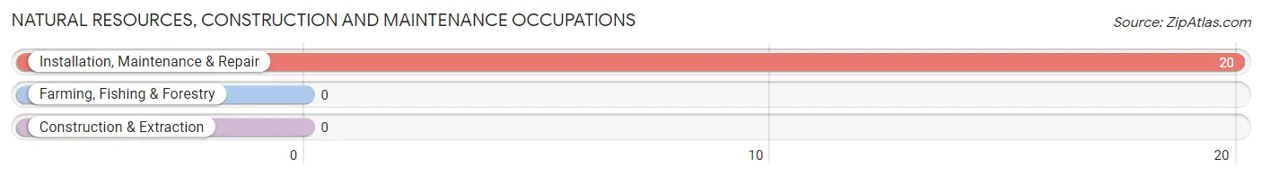 Natural Resources, Construction and Maintenance Occupations in Zip Code 41255