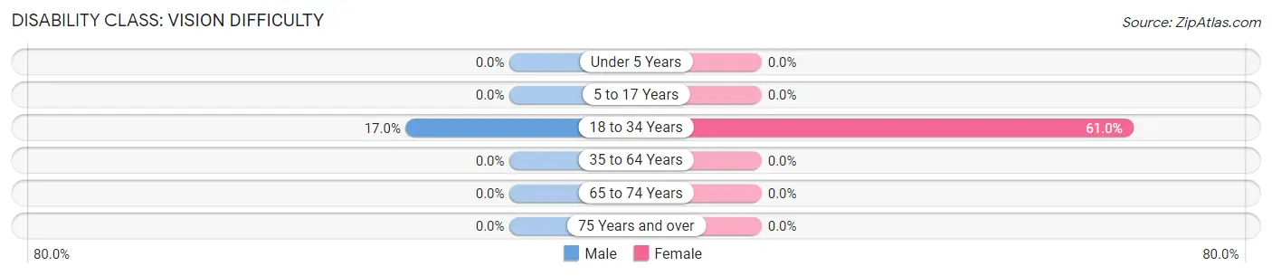 Disability in Zip Code 41255: <span>Vision Difficulty</span>
