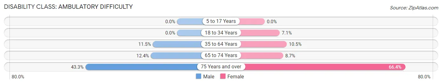 Disability in Zip Code 41256: <span>Ambulatory Difficulty</span>
