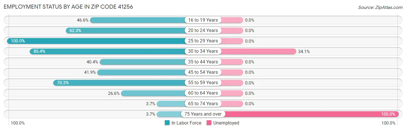 Employment Status by Age in Zip Code 41256
