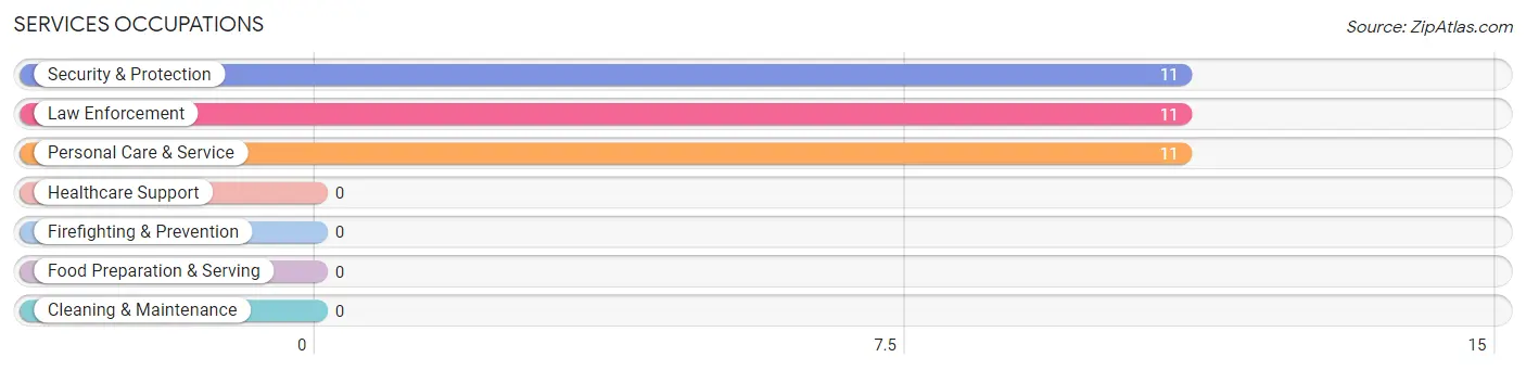 Services Occupations in Zip Code 41263